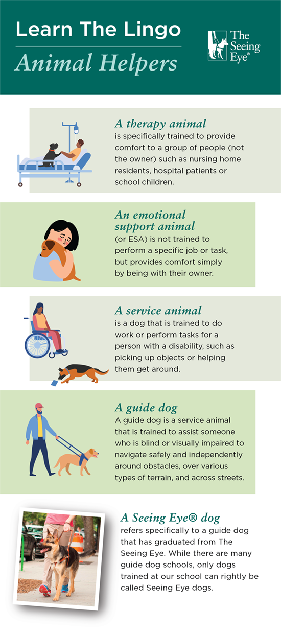 A chart that defines various working animal terms.