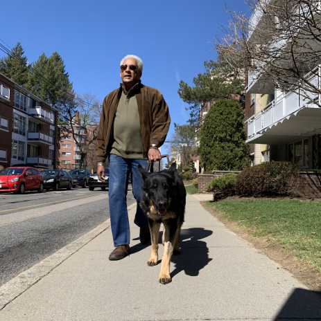 Man is guided by his Seeing Eye dog, a German shepherd, on the sidewalk.