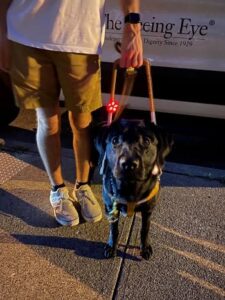 A black Lab looks up at the camera. Her handler, shown from the waist down, stands on the sidewalk beside her. The Seeing Eye van, which they just disembarked, is in the background. The dog has a small red light on her harness for safety since it’s after dark.