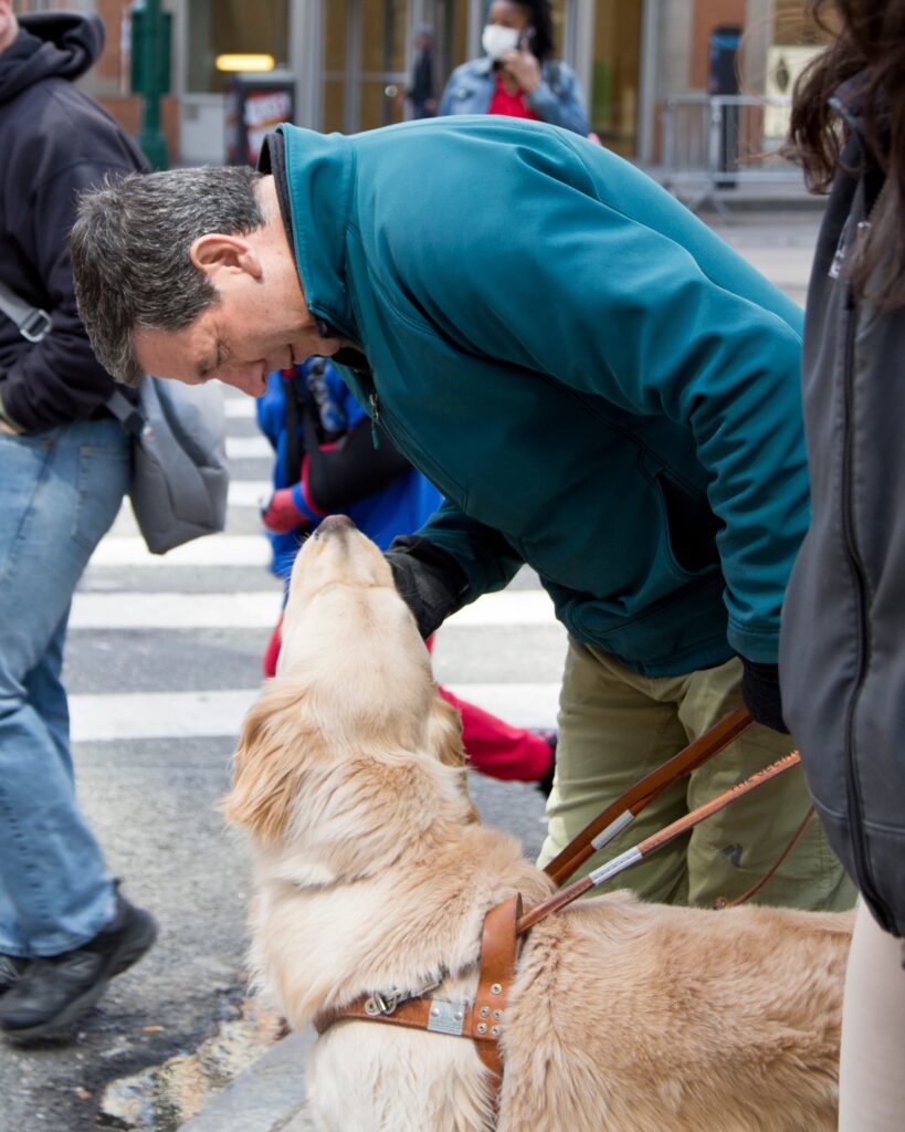 A Seeing Eye instructor scratches the chin of the golden retriever Seeing Eye dog in harness he is training in New York City,