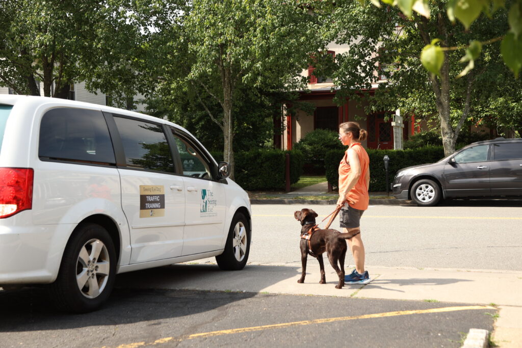 A Seeing Eye instructor, guided by a chocolate Labrador retriever, waits for a Seeing Eye van to pass during a 'traffic check.'