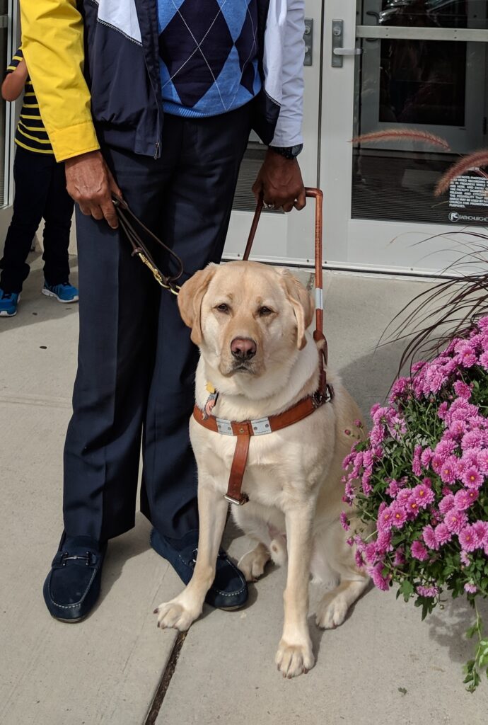 A man with a yellow Labrador/golden retriever cross stands outside a building.