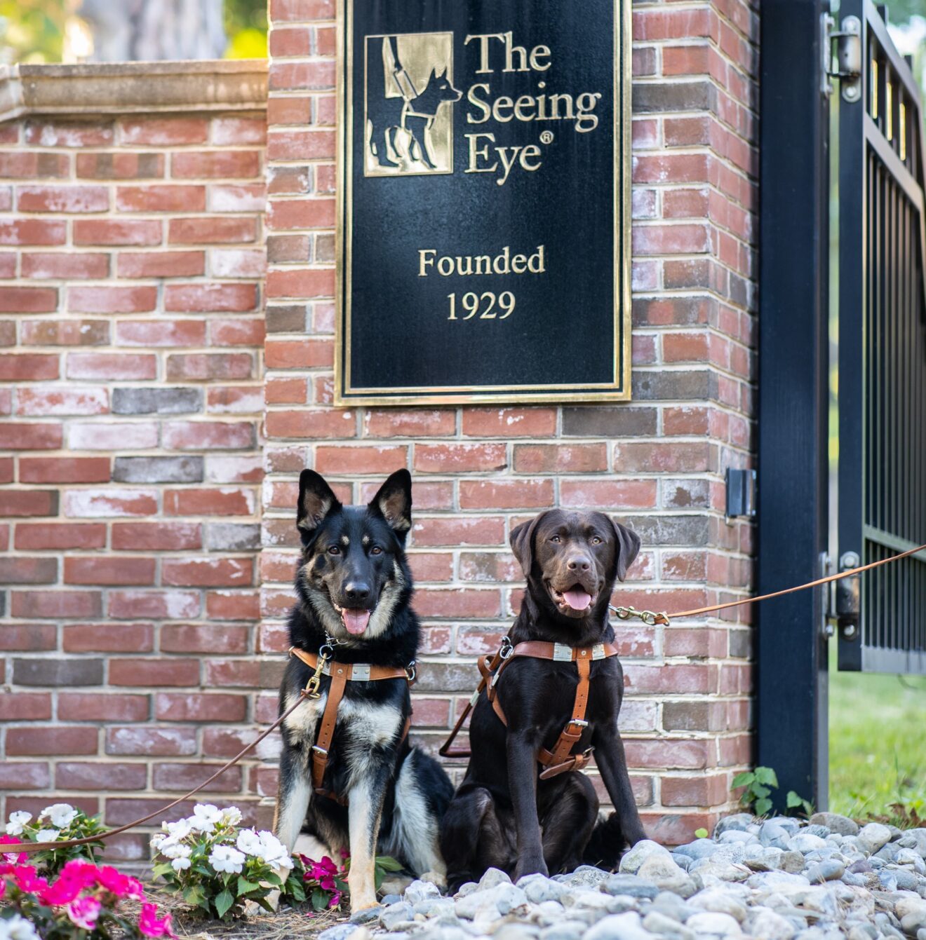 Our Campus - The Seeing Eye