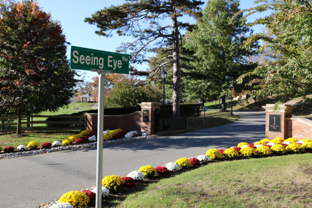 The flower-lined front entrance to The Seeing Eye.