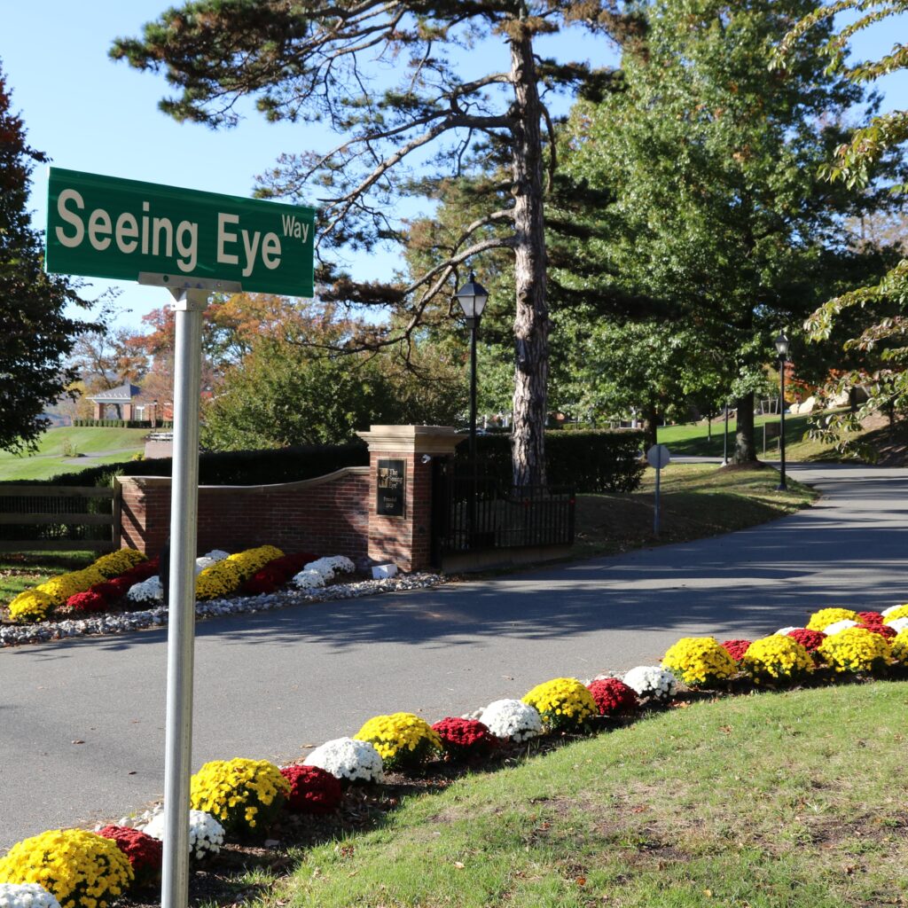 The front entrance to The Seeing Eye.