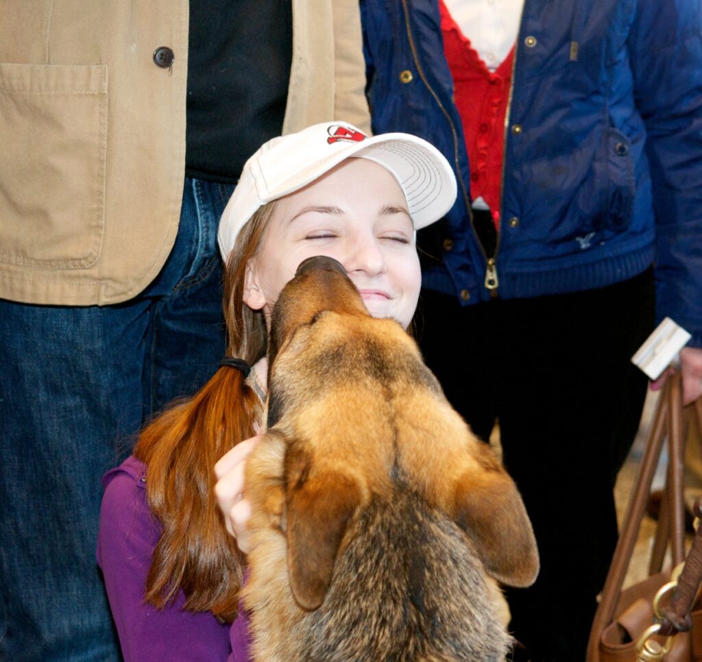 A woman smiles as she gets her face licked by a German shepherd.