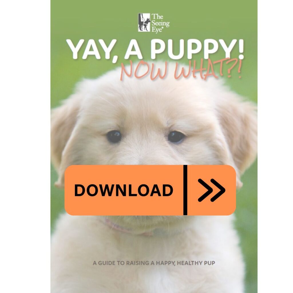 puppy guide cover preview with download button.