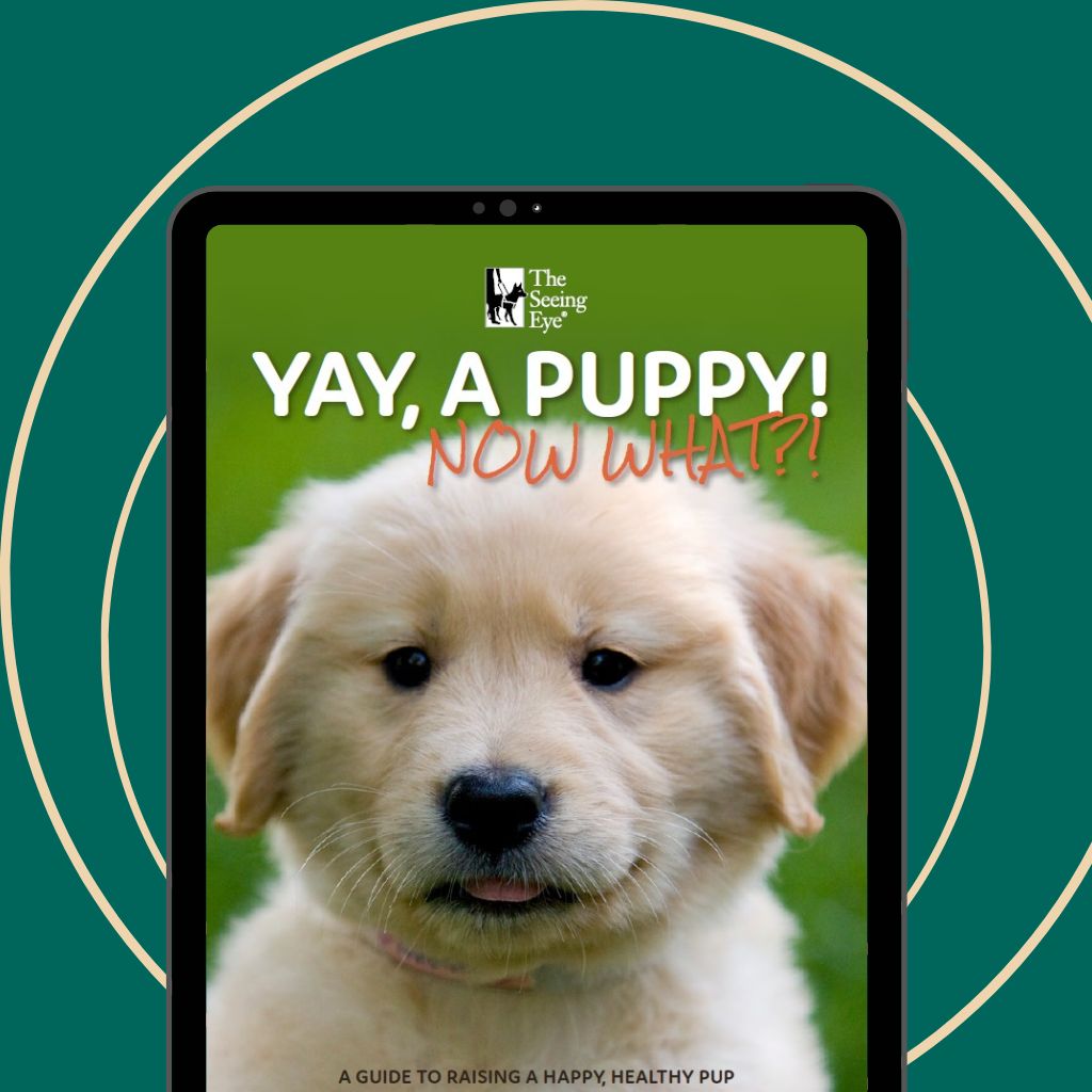 Cover of the new puppy handbook, "Yay, a puppy! Now What?!" with a golden retriever puppy.