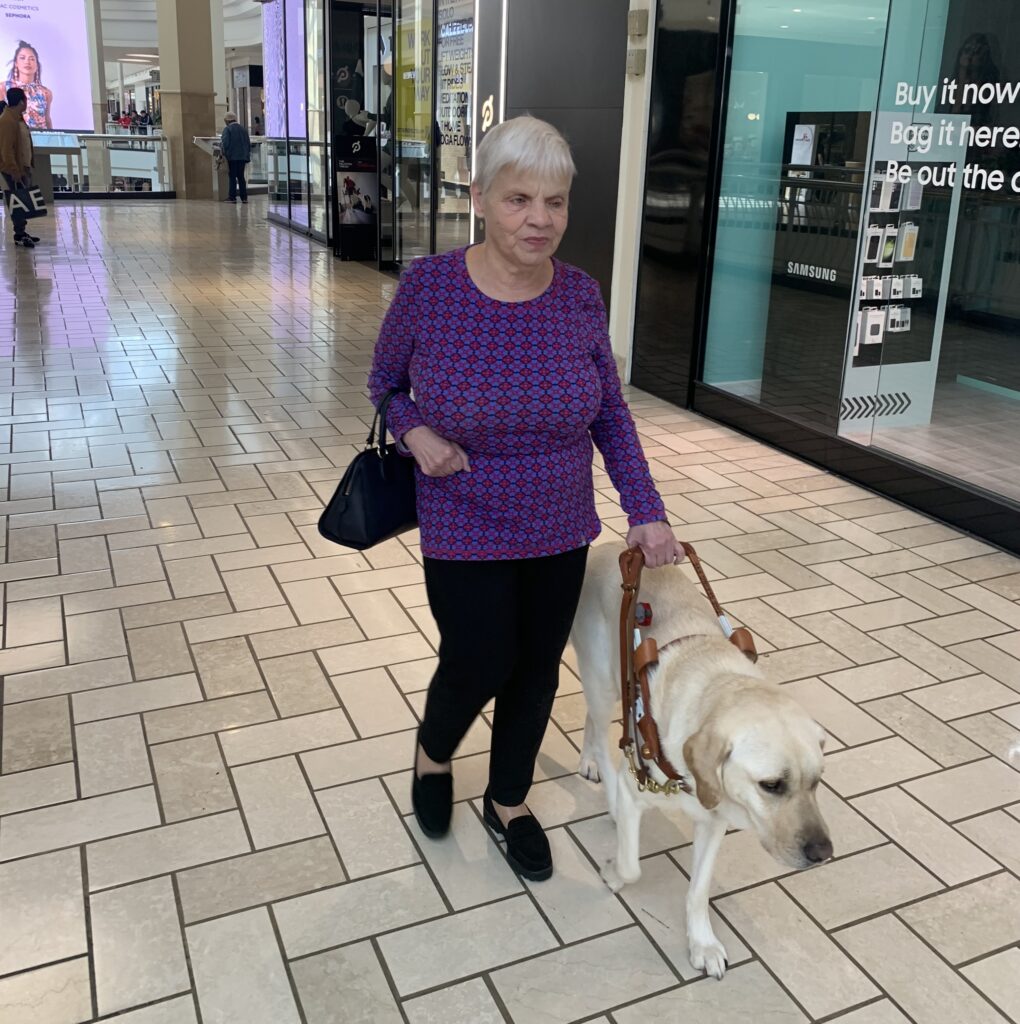 A Seeing Eye graduate is guided by her Seeing Eye dog, a yellow Labrador retriever, inside a shopping mall.