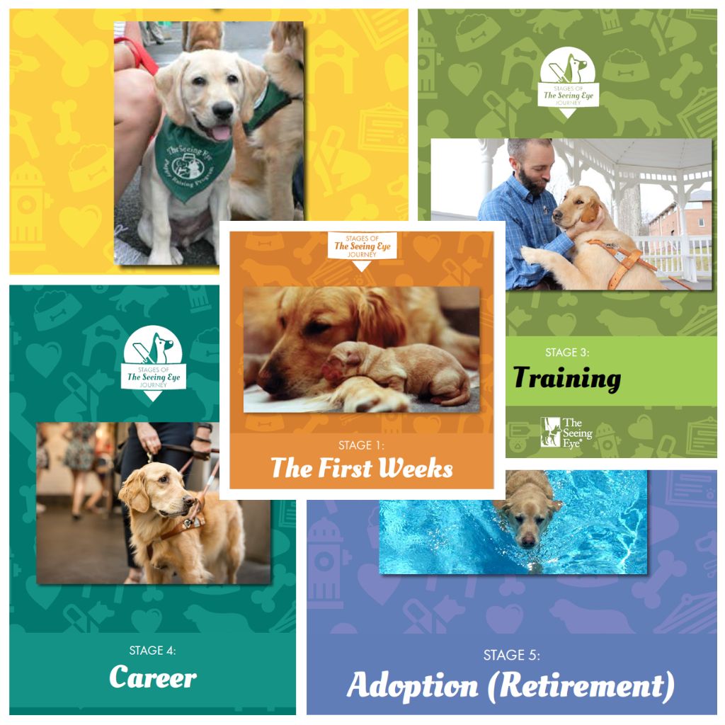 Cover images of the 5 stages of the journey of a Seeing Eye dog, each depicting a different part of the process.