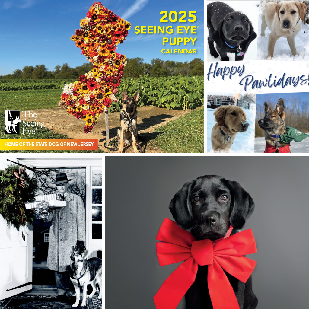 A collage of photos featuring the 2025 Puppy Calendar cover and the three 2024 Seeing Eye holiday card designs.