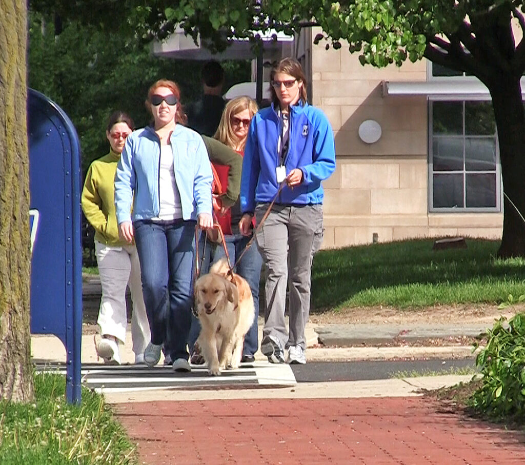 A Seeing Eye instructor assists an O&M student under blindfold being guided by a golden retriever in harness, with a group of other students following.