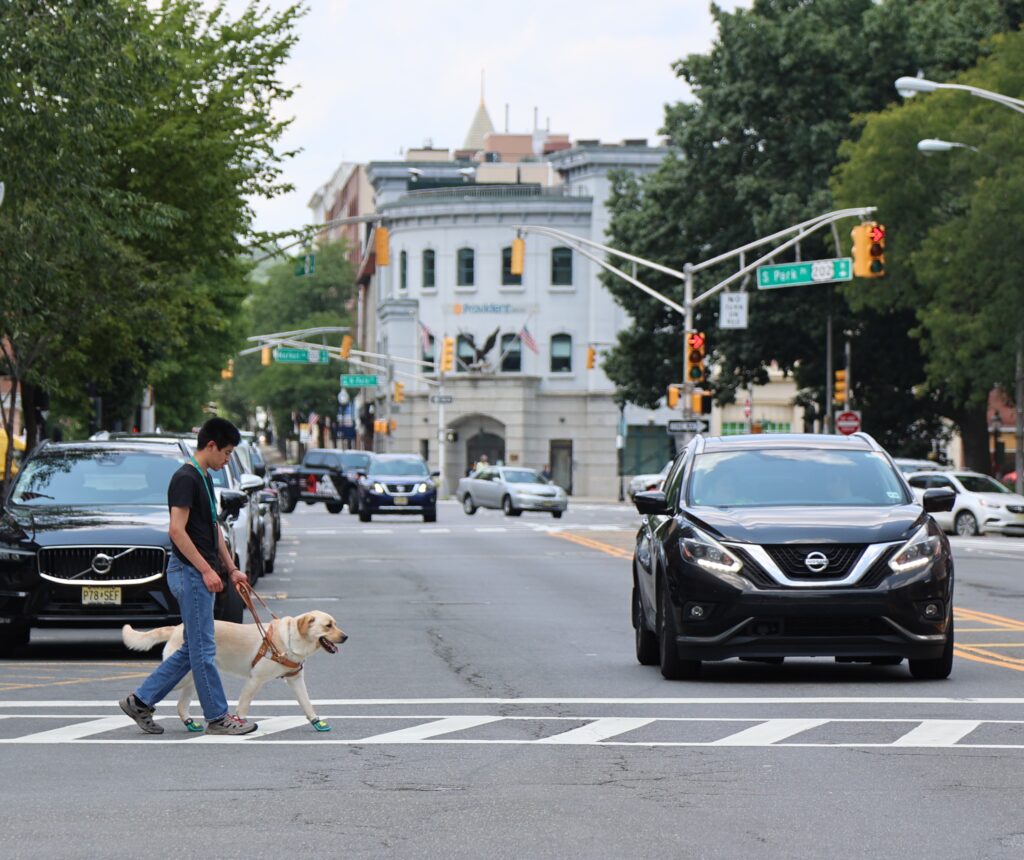 A Seeing Eye graduate walks through a crosswalk in downtown Morristown with his yellow Lab Seeing Eye dog. A car is stopped before the crosswalk.