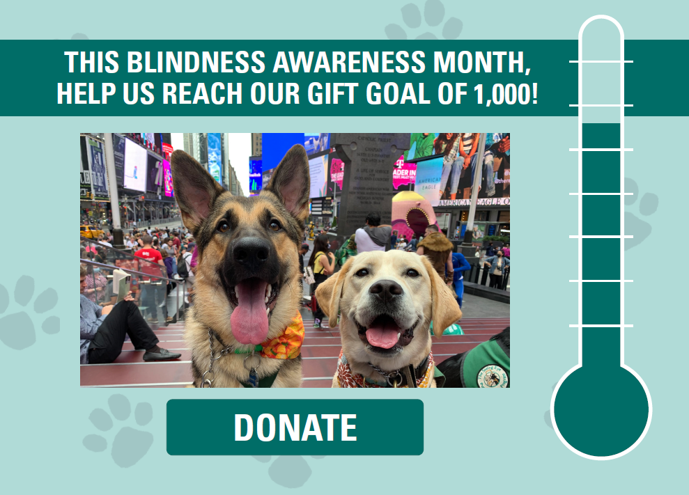 This pop-up reads: This Blindness Awareness Month, help us reach our gift goal of 1,000! One German Shepard and One yellow lab sit smiling at the camera with their tongues out. Below, a donate button and to the right, a thermometer showing about 75% of the goal has been reached.