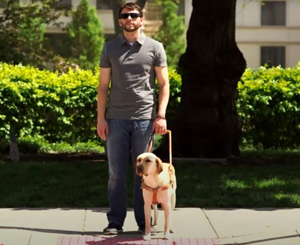 A man being guided by a yellow Labrador retriever.