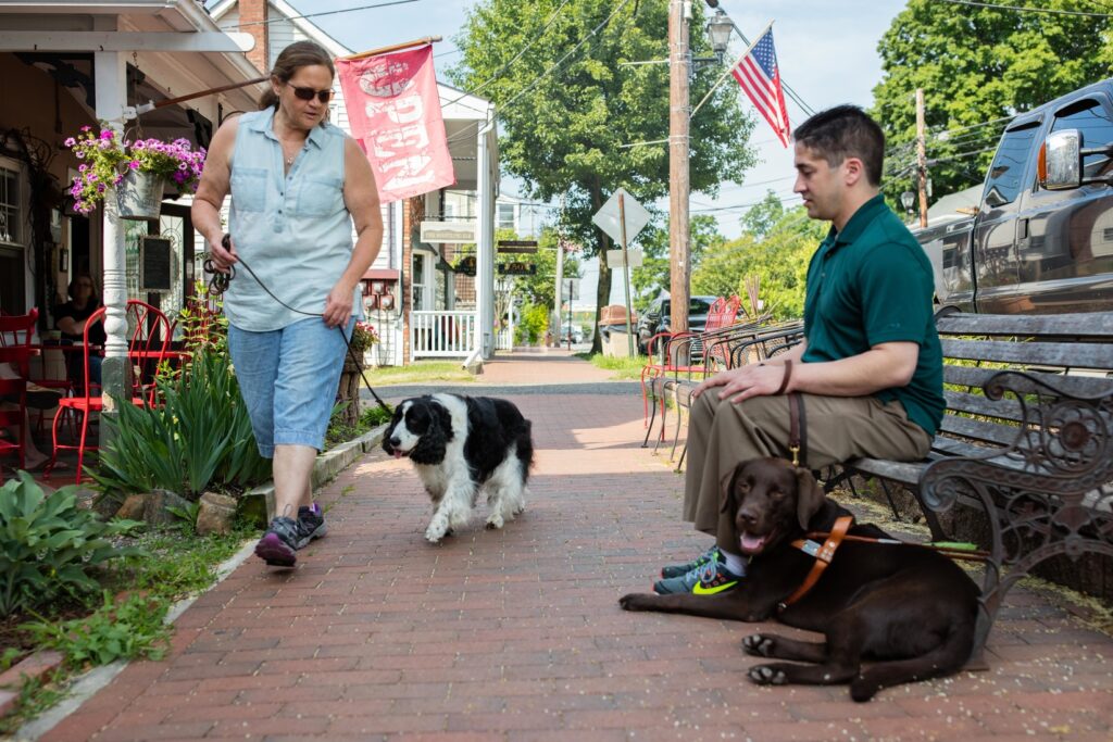 A woman with a pet dog on a leash walks past a man with a guide dog seated on a bench.