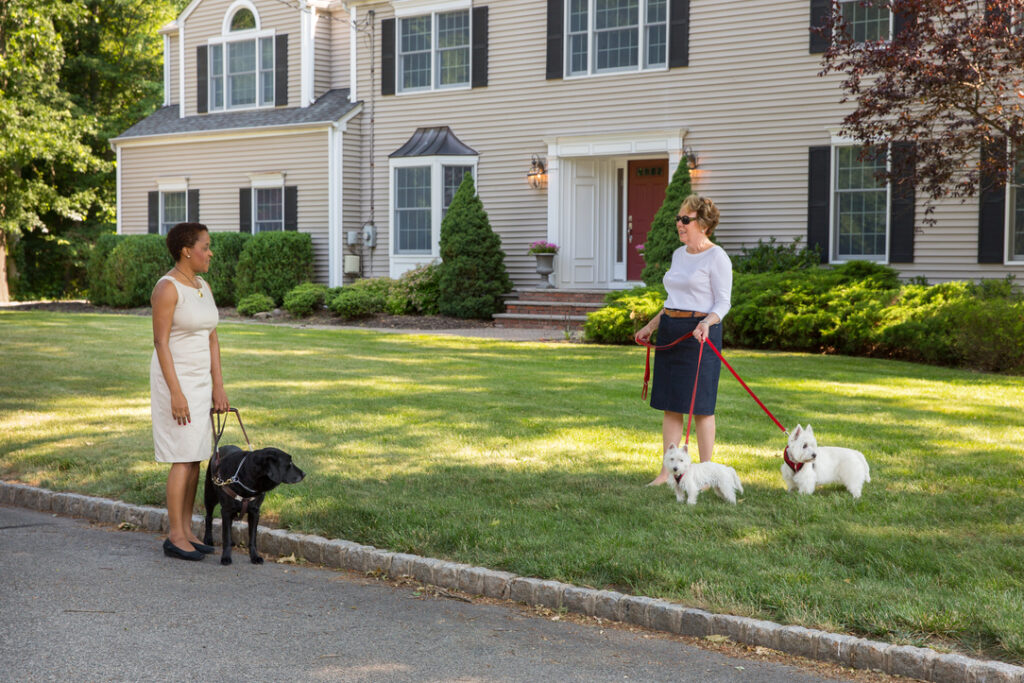 A woman with a guide dog speaks with a woman who is standing at a distance with two small pet dogs on leashes.