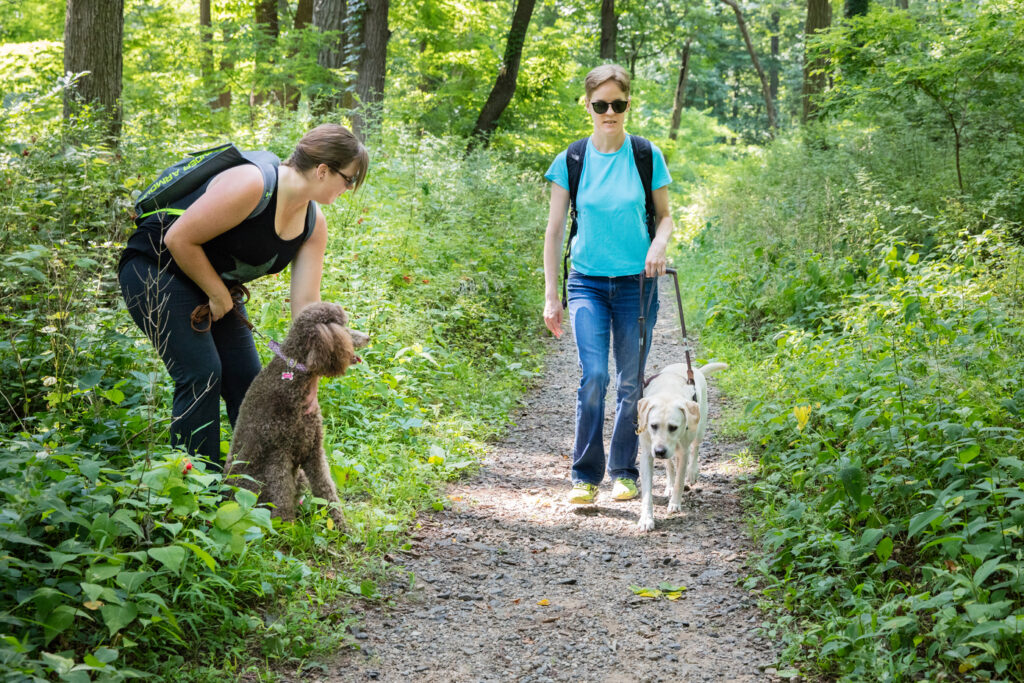 A hiker holds her pet dog more securely as a guide dog team approaches on the trail.