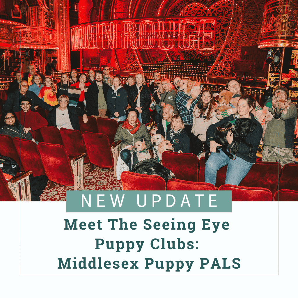 Twenty-seven Middlesex County puppy raisers pose before the stage of the Broadway musical Moulin Rouge with three yellow Labs, two German shepherds, one black Lab, and two golden retrievers. Text reads, "New Update: Meet The Seeing Eye Puppy Clubs: Middlesex Puppy PALS