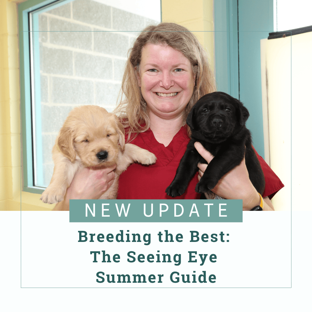 The cover of The Guide Summer 2025 shows Seeing Eye geneticist Dr. Katy Evans holding two Labrador retriever puppies. Text reads, "New Update: Breeding the Best: The Seeing Eye Summer Guide"