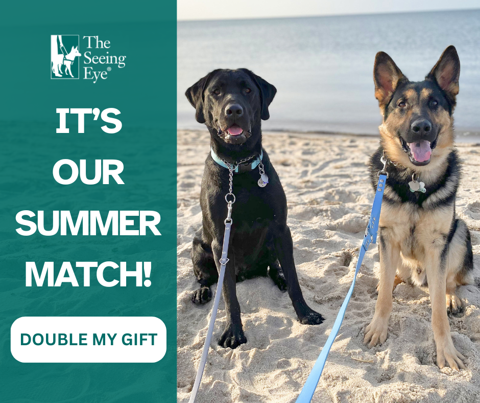 One black lab and one German shepherd sit next to each other on the beach looking at the camera. The text says 'It's our summer match! Double your gift"