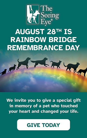 A line of dog silhouettes playfully run across a rainbow. The text reads: August 28th is Rainbow Bridge Remembrance Day. We invite you to give a special gift in memory of a pet who touched your heart and changed your life. Give Today.