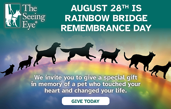 A line of dog silhouettes playfully run across a rainbow. The text reads: August 28th is Rainbow Bridge Remembrance Day. We invite you to give a special gift in memory of a pet who touched your heart and changed your life. Give Today.
