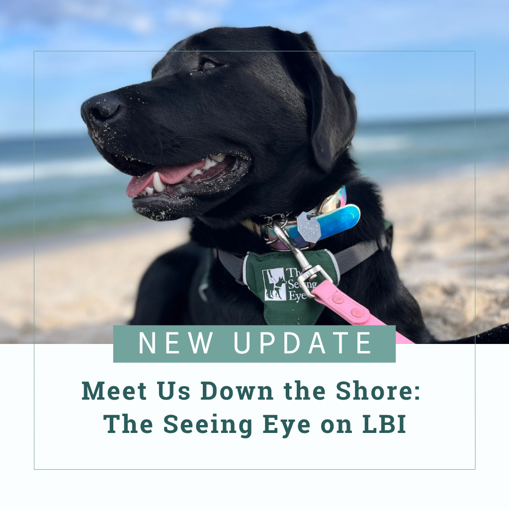 A leashed black Lab wearing a Seeing Eye puppy raising program lies in the sand at the beach and gazes off to the left with the blue sky and ocean slightly blurred behind her. Text reads, "Meet Us Down the Shore: The Seeing Eye on LBI"