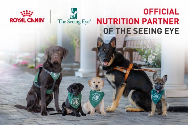 An image of a Seeing Eye dog in harness and four Seeing Eye puppies. The logos of Royal Canin and The Seeing Eye are superimposed over the image. The text reads: 'Official Nutrition Partner of The Seeing Eye.'