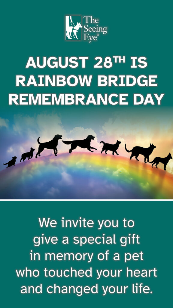 A line of dog silhouettes playfully run across a rainbow. The text reads: August 28th is Rainbow Bridge Remembrance Day. We invite you to give a special gift in memory of a pet who touched your heart and changed your life.