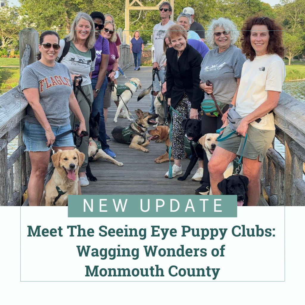 Twelve Monmouth County puppy club raisers pose with a golden retriever, five yellow Labs, three German shepherds, and two black Labs on a wooden bridge in Spring Lake, NJ. Text reads, "New Update: Meet The Seeing Eye Puppy Clubs: Wagging Wonders of Monmouth County"