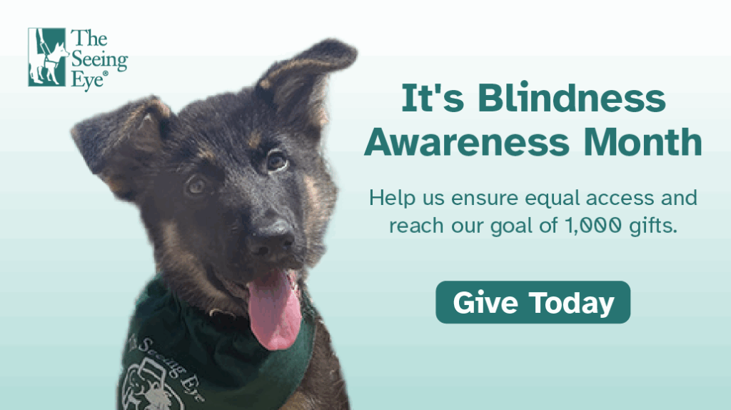 A German Shepherd puppy with perky ears looks at the camera with its tongue sticking out. The text reads: "It's Blindness Awareness Month. Help us ensure equal access and reach our goal of 1,000 gifts. Give Today."