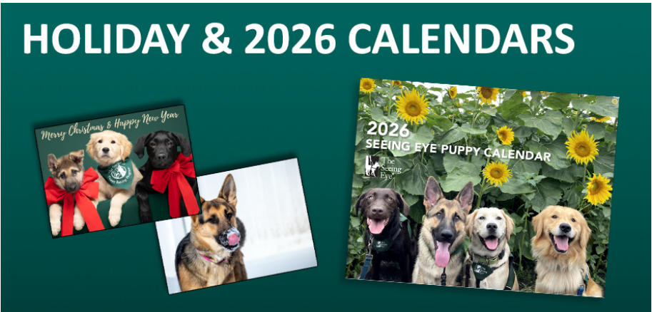 Graphic showing the holiday cards and 2026 Puppy Calendar.