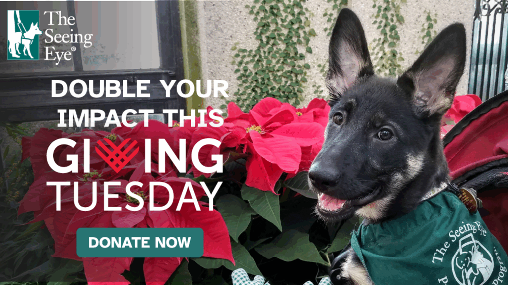 A young German Shepherd Seeing Eye puppy wearing a green “Puppy Raising Program” bandana sits in front of bright red poinsettias, looking toward the camera with its mouth slightly open. A teal “Donate Now” button appears below the text that reads: “Double Your Impact This Giving Tuesday.”