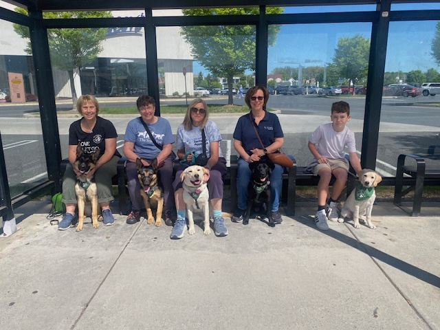 Five club members sit on a bench at a bus stop with the two German shepherds, two yellow Labs, and a black Lab they are raising sitting at their feet.
