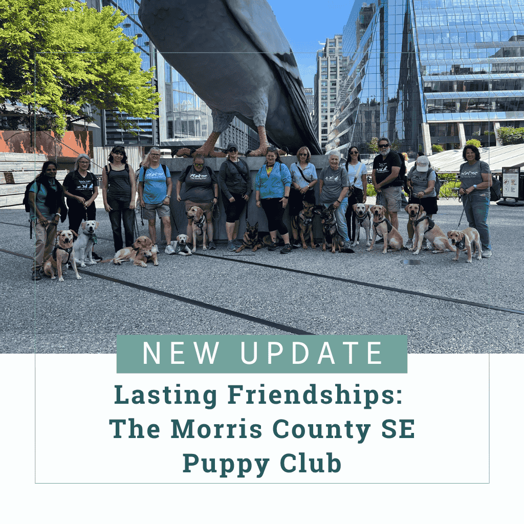 Thirteen puppy raisers with eight yellow Labs, one golden retriever, and three German shepherds stand together at the Pigeon Statue during a multi-club outing to the High Line in New York City. Text reads, "New Update - Lasting Friendships: The Morris County SE Puppy Club"