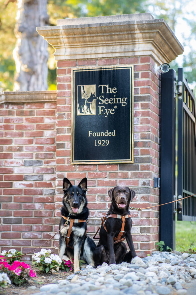 Two Seeing Eye dogs in harness, a black and tan German shepherd and chocolate Lab, sit before the entryway to our Morris Township campus. The sign above them features The Seeing Eye’s logo and the words “Founded 1929”