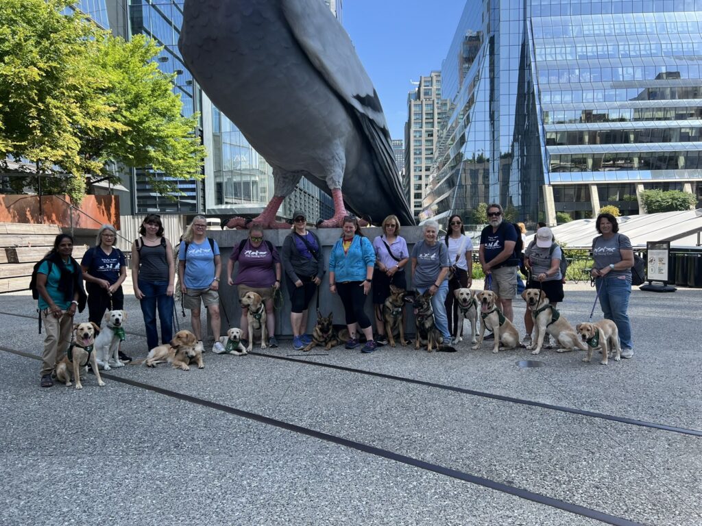 Thirteen puppy raisers with eight yellow Labs, one golden retriever, and three German shepherds stand together at the Pigeon Statue during a multi-club outing to the High Line in New York City.