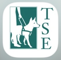 screenshot of the app icon with the seeing eye logo.