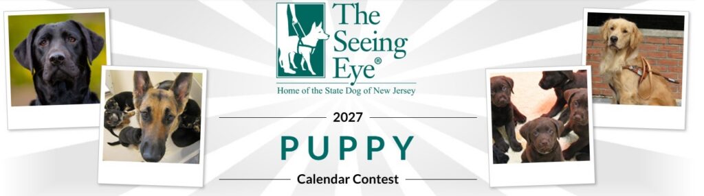 The Seeing Eye Puppy Raising Calendar Contest