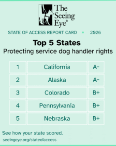 A graphic showing the top 5 states and their grades. Text reads, State of Access Report Card 2026. Top 5 States protecting service dog handler rights. 1. California A minus 2. Alaska A minus 3. Colorado B plus 4. Pennsylvania B plus 5. Nebraska B plus. See how your state scored. seeingeye.org/stateofaccess