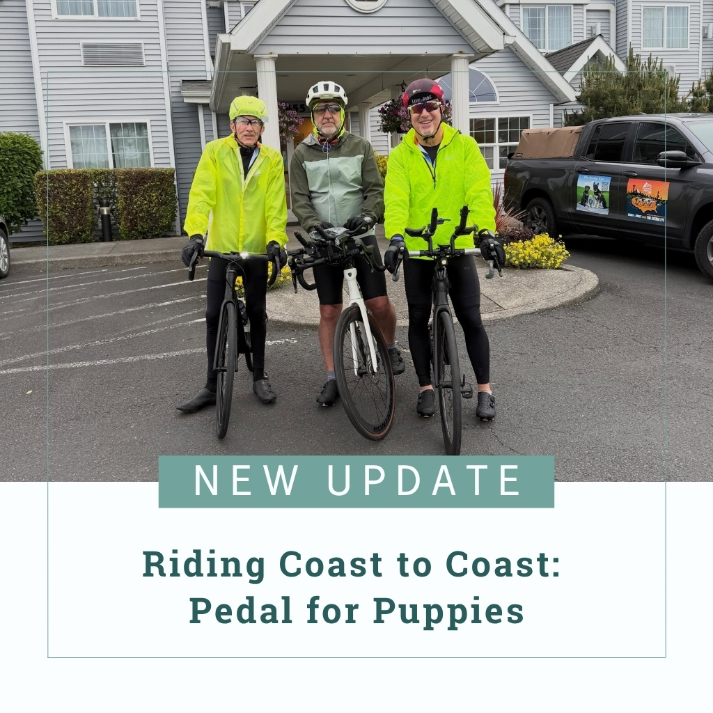 The three riders of the coast-to-coast Pedal for Puppies ride, Glenn Morse, Jim Freiss, and Victor Fassano, pose with their bikes before their hotel. Text reads, "New Update - Riding Coast to Coast: Pedal for Puppies"