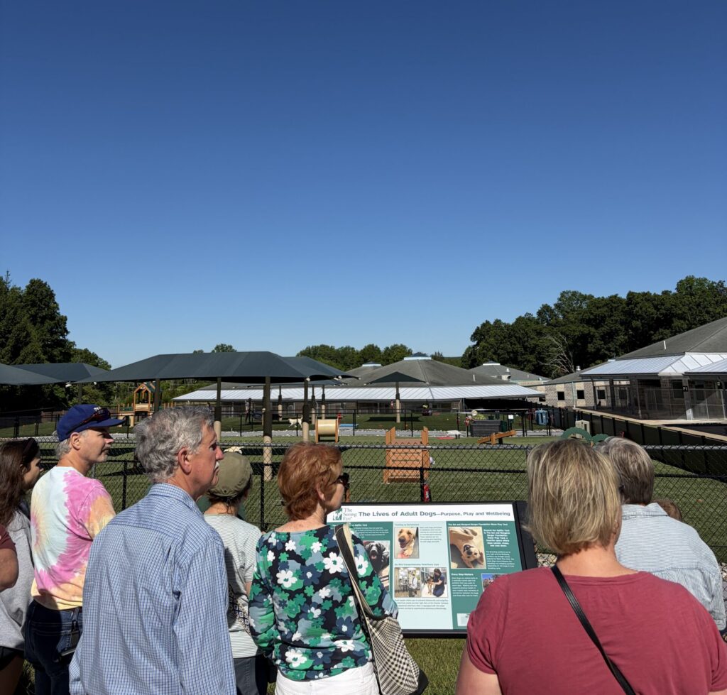Visitors watch from a distance as Seeing Eye dogs play in the outdoor play yards of the Chester campus.