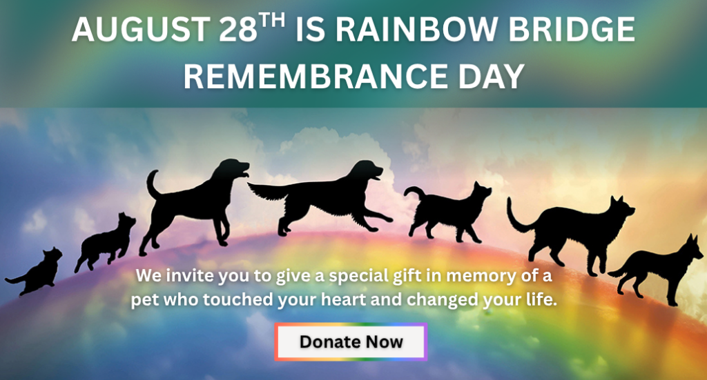 Silhouettes of dogs and cats walking across a rainbow in the clouds above the text, “August 28th is Rainbow Bridge Remembrance Day. We invite you to give a special gift in memory of a pet who touched your heart and changed your life. Donate now."