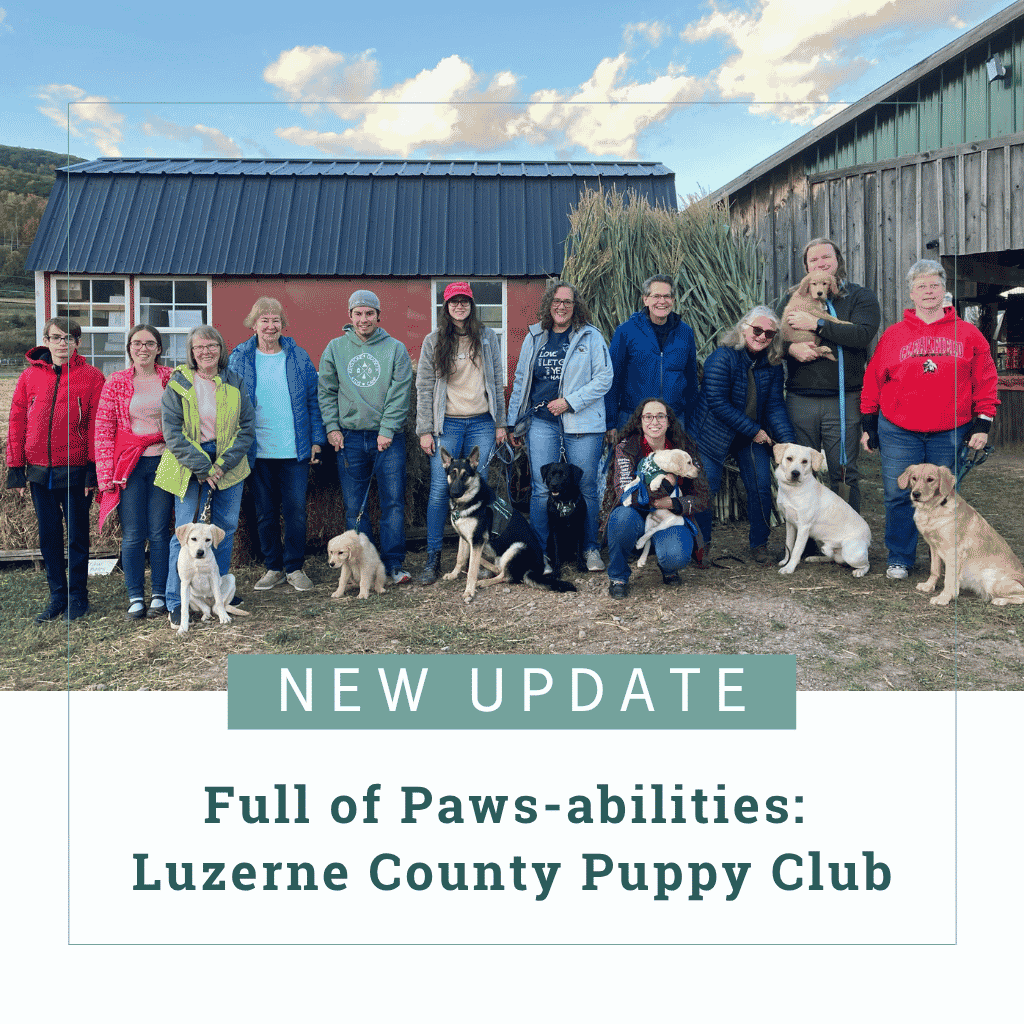 Twelve members of the Luzerne County club stand together with three yellow Labs, three golden retrievers, a black and tan German shepherd, and a black Lab, after a visit to the local pumpkin patch in the fall. Text reads, "New Update - Full of Paws-abilities: Luzerne County Puppy Club"