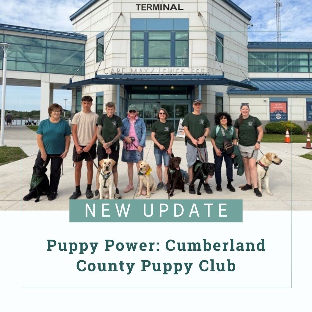 Eight Cumberland County club members stand together with the six Seeing Eye puppies they are raising, two black Labs, three yellow Labs, and a chocolate Lab, before the Cape May/Lewes Ferry Terminal. Text reads, "New Update - Puppy Power: Cumberland County Puppy Club"